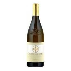 Vino Verdicchio Cambrugiano Riserva DOCG Belisario 0,75Lt.