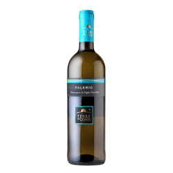 Vino Falerio DOC Terre Dei Conti 0,75Lt.