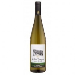 Vino Muller Thurgau Santa Maddalena DOC 0,75Lt.