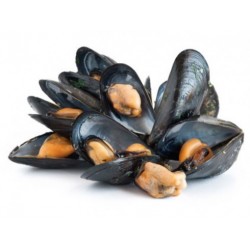 Cozze 1kg (Mytilus Galloprovincialis)