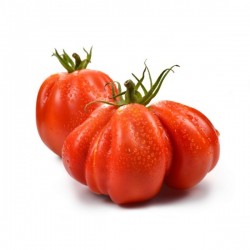 Pomodori Cuore di Bue 1Kg