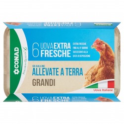 Uova Fresche Grandi - Conad X6