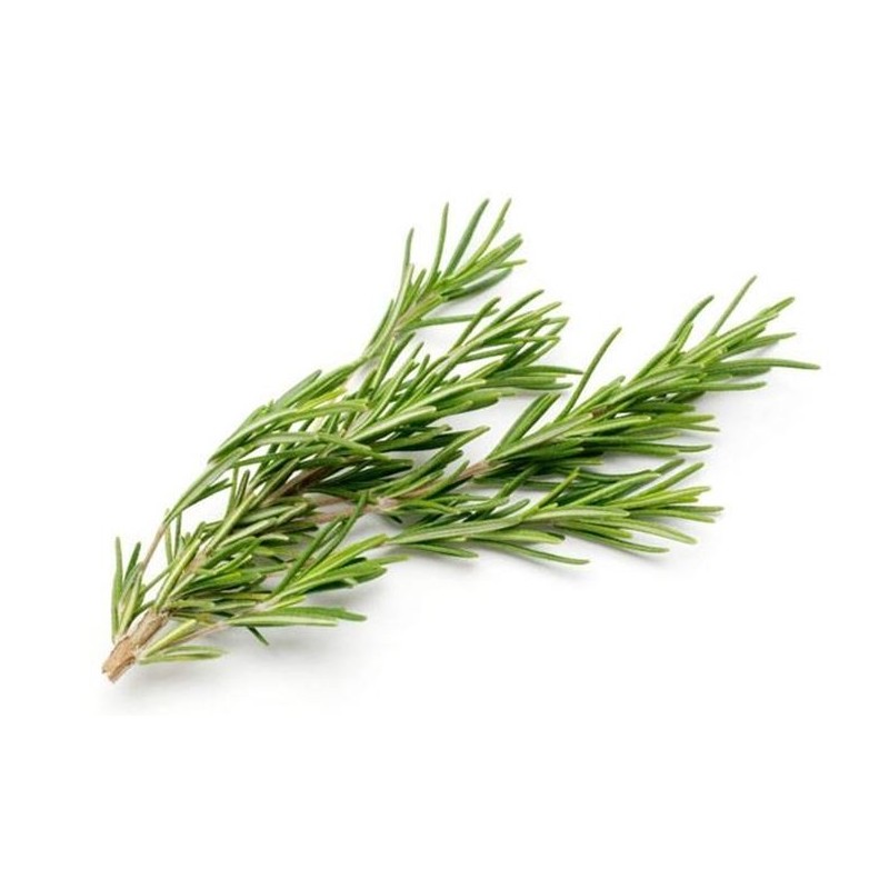 Rosmarino 30gr