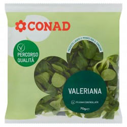 Insalata Valeriana 70gr (Busta)