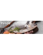 Tutto il Pesce fresco